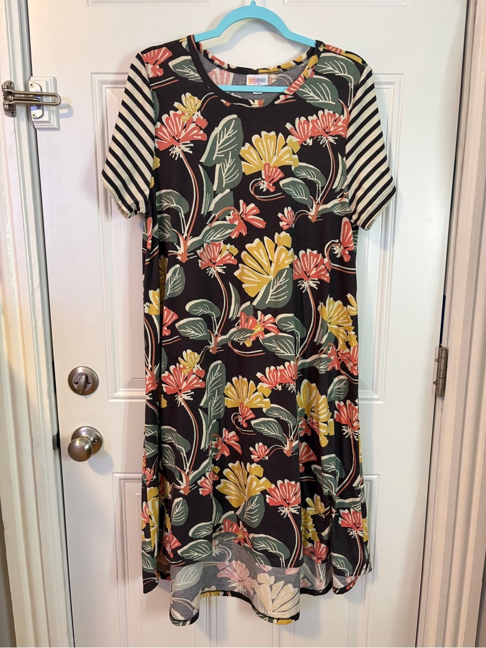 LuLaRoe Carly Dress